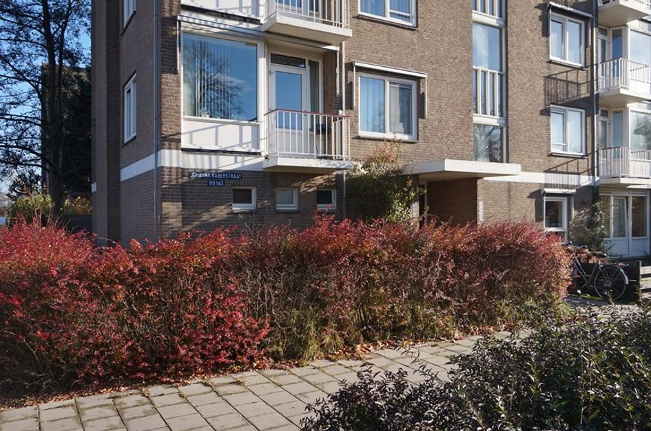 Johanna Naberstraat 152