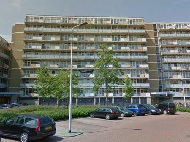 Lupinesingel ONG, Alphen aan den Rijn