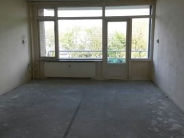 Lupinesingel ONG, Alphen aan den Rijn