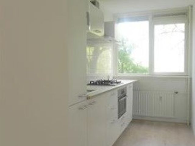 Trekvogelweg ONG, Amersfoort