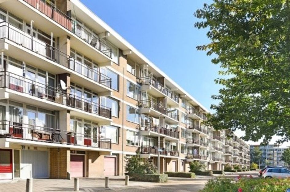 William Boothlaan ONG