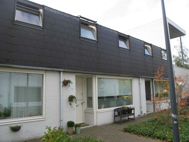 Zandtong 73, Eindhoven