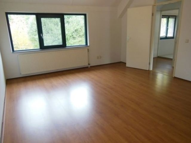 Via Regia ONG, Maastricht