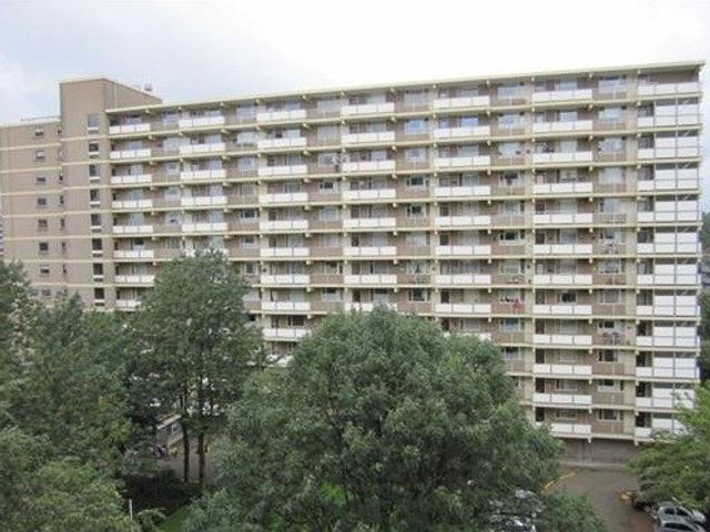 Dadeltuin ONG, Rotterdam