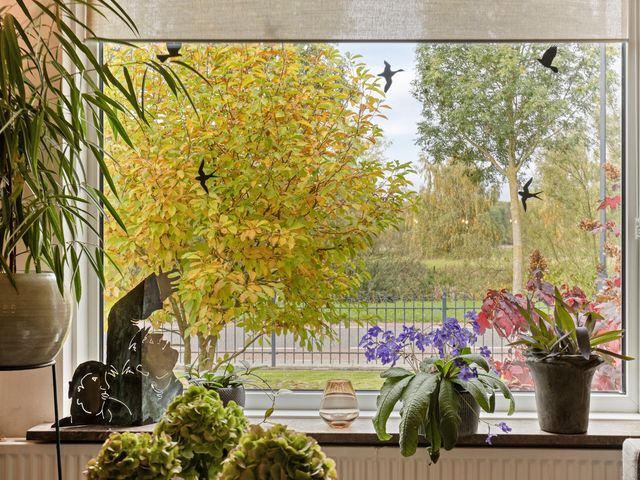 Tussen de Bruggen 14, Vlodrop