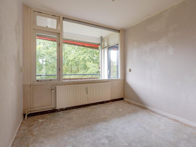 Ruigoord 228, Rotterdam