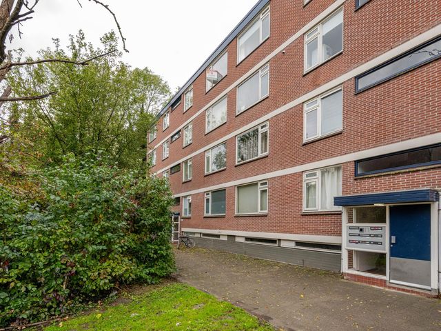 Ruigoord 228, Rotterdam