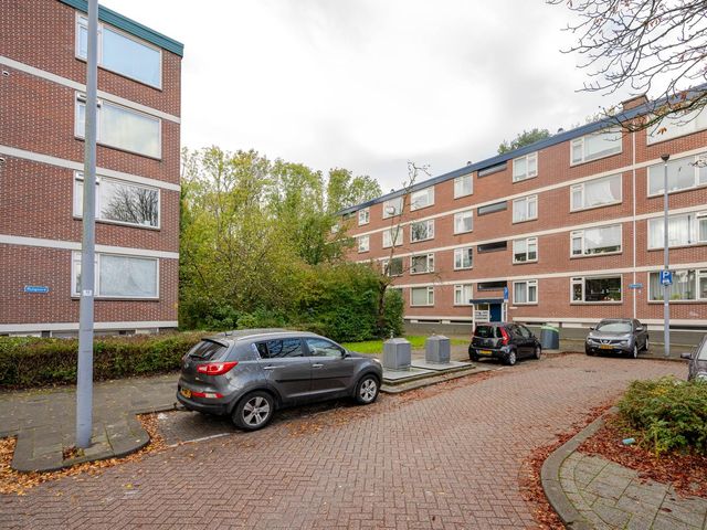 Ruigoord 228, Rotterdam