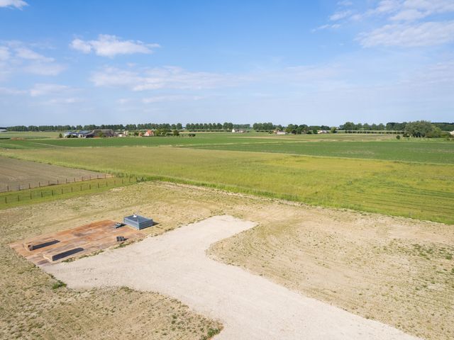 Dorpspad 1, Vogelwaarde