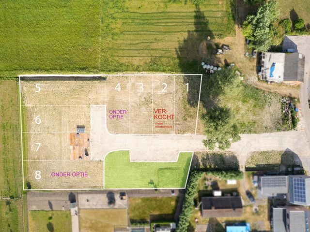 Dorpspad 1, Vogelwaarde