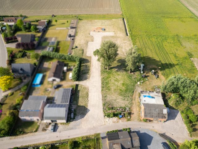 Dorpspad 1, Vogelwaarde