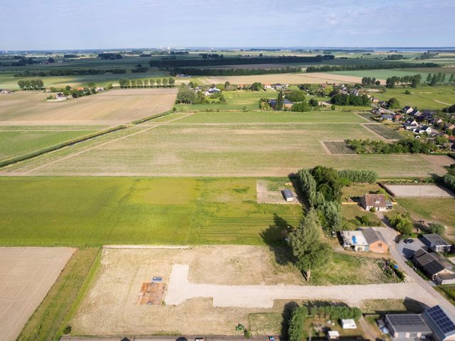 Dorpspad 1, Vogelwaarde