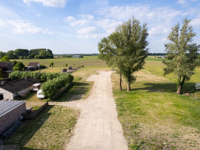 Dorpspad 1, Vogelwaarde