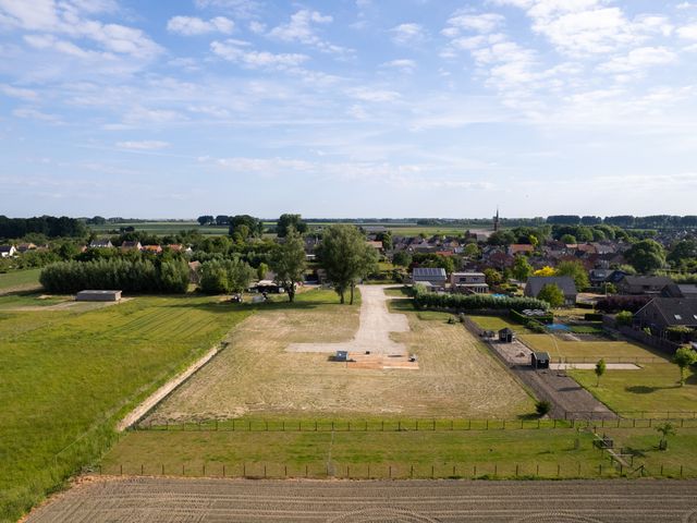 Dorpspad 1, Vogelwaarde