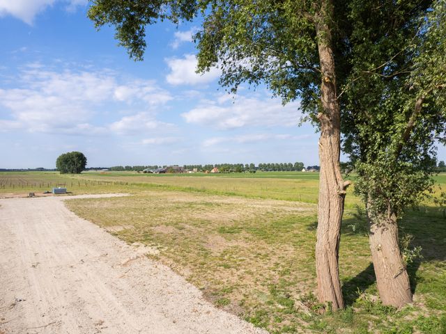 Dorpspad 1, Vogelwaarde