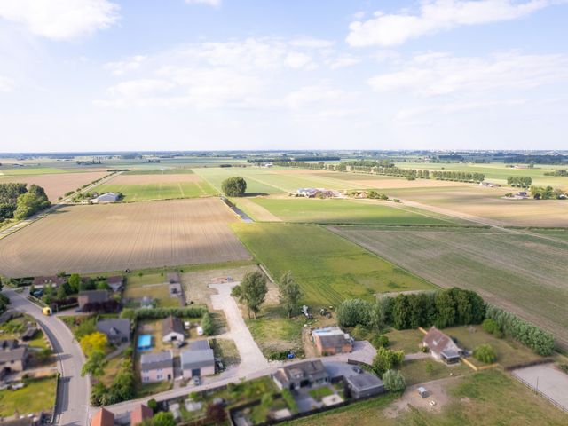 Dorpspad 1, Vogelwaarde