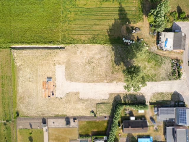 Dorpspad 1, Vogelwaarde