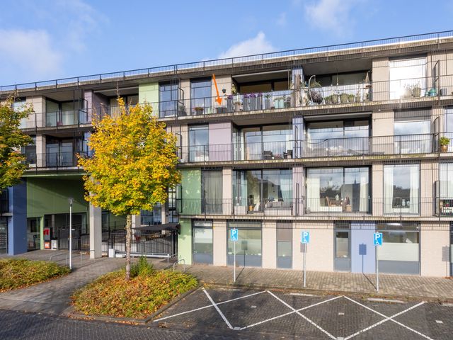 Röntgenstraat 63, Berkel En Rodenrijs