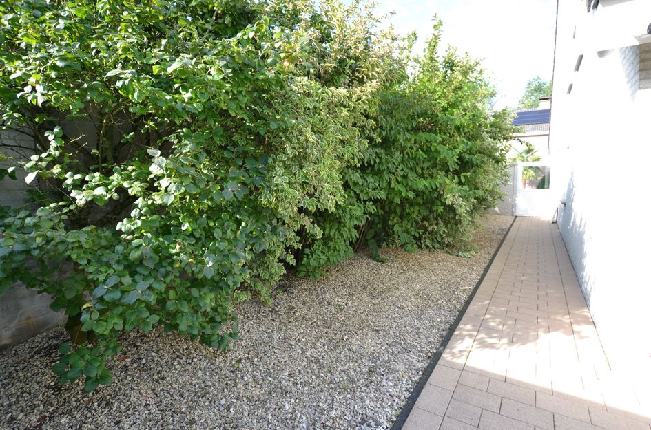 Dokter Limpensstraat 13