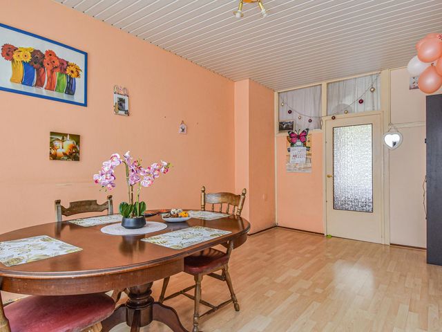 Piet Paaltjensstraat 14, 'S-Gravenhage