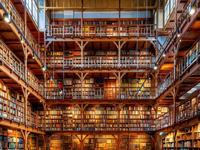 Berg en Dalseweg 79A40, Nijmegen