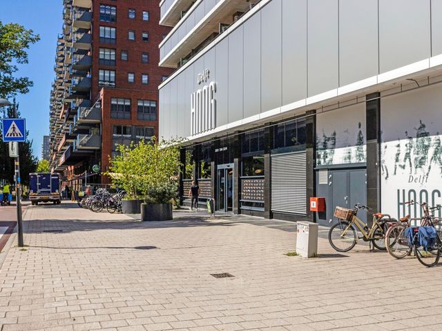 Martinus Nijhofflaan 2D13, Delft