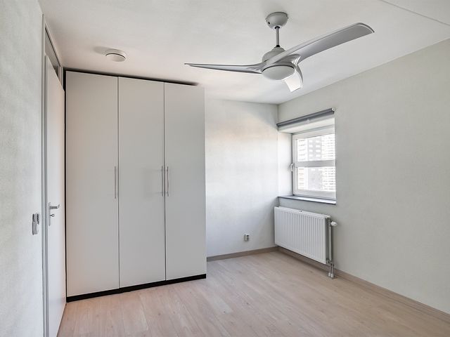 Wijnbrugstraat 213, Rotterdam