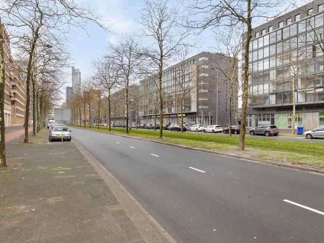 Laan op Zuid 736, Rotterdam