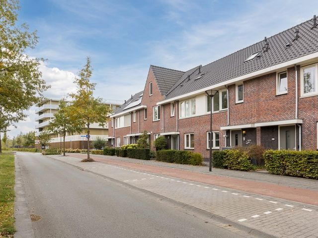 Zuiderdreef 9, Bergen op Zoom