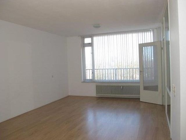 Dadeltuin ONG, Rotterdam