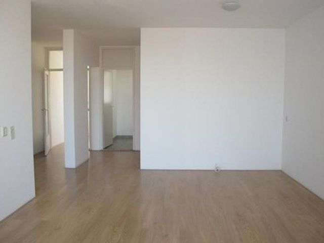 Dadeltuin ONG, Rotterdam