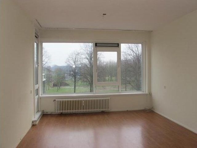 Burgemeester Hazenberglaan ONG, Rotterdam