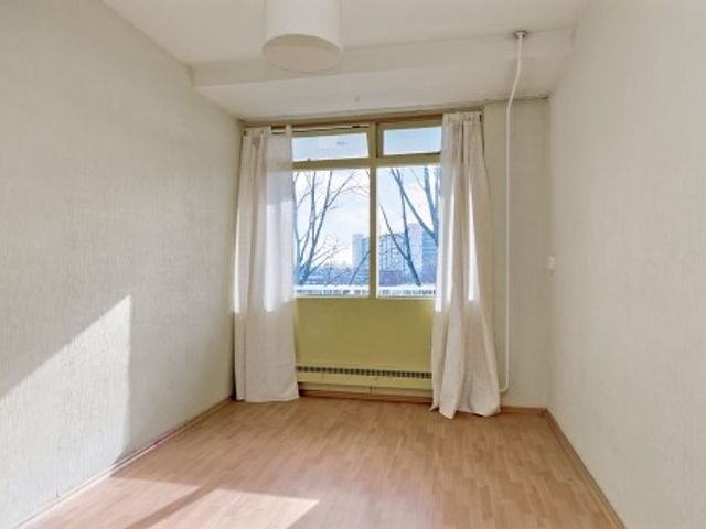 Volendamlaan ONG, Den Haag