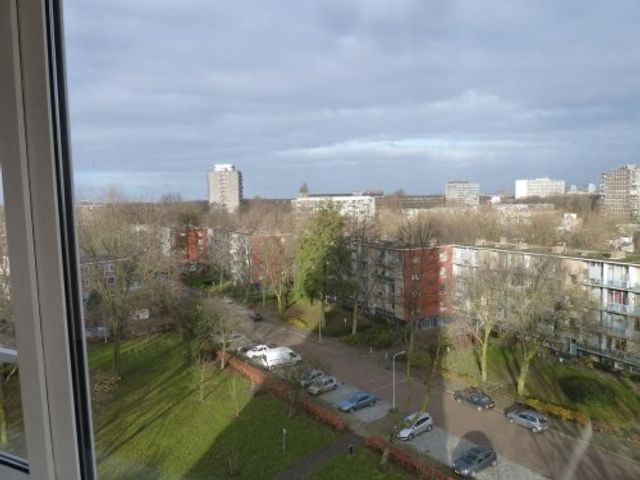 Gerstkamp ONG, Den Haag