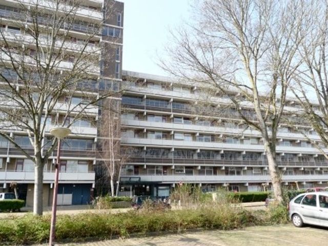 De Brink ONG, Den Haag