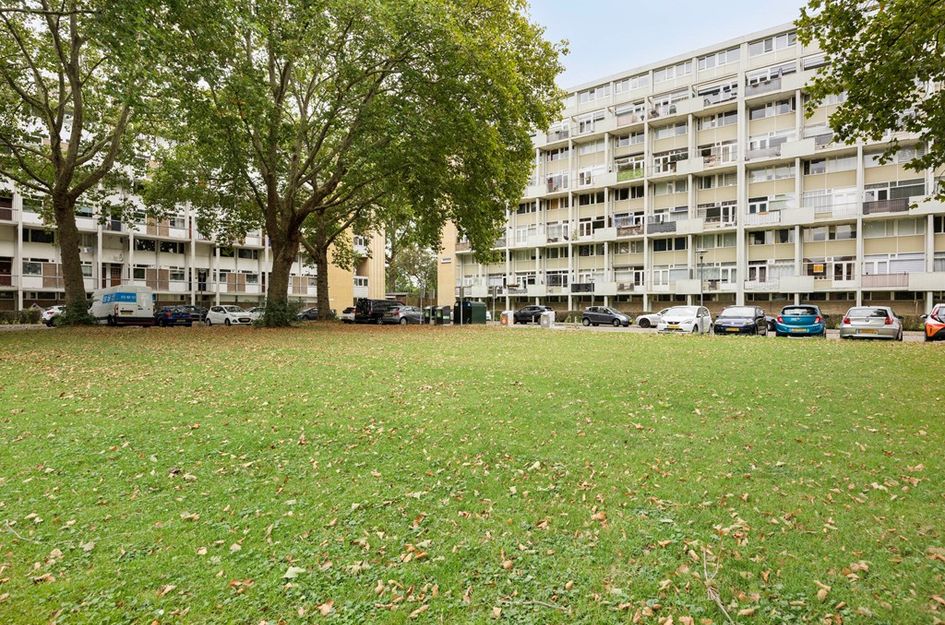 Van Bosseplantsoen 105