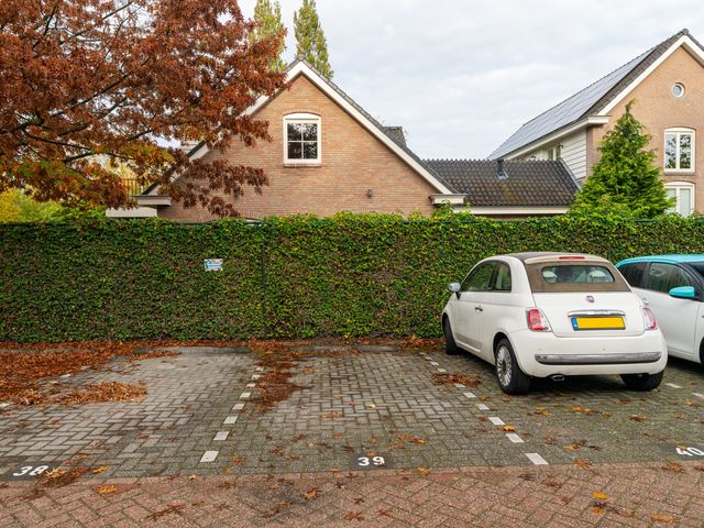 Hoge Ham 46N, Dongen