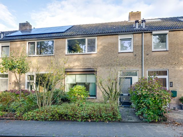 Rooseveltstraat 4, Rijen