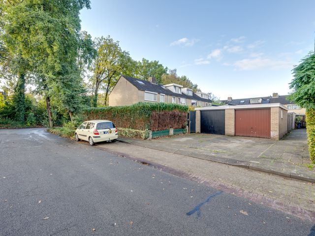 Rooseveltstraat 4, Rijen