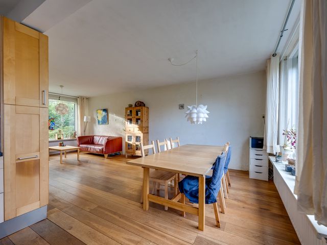 Rooseveltstraat 4, Rijen