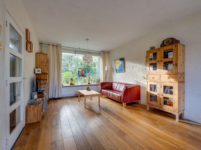 Rooseveltstraat 4, Rijen