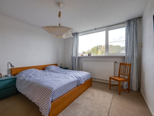 Rooseveltstraat 4, Rijen