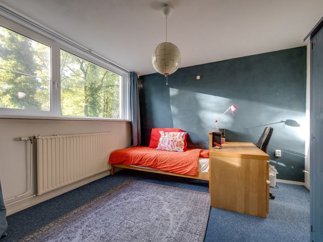 Rooseveltstraat 4, Rijen