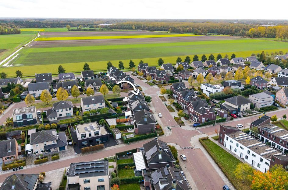 Alexander de Grotestraat 41