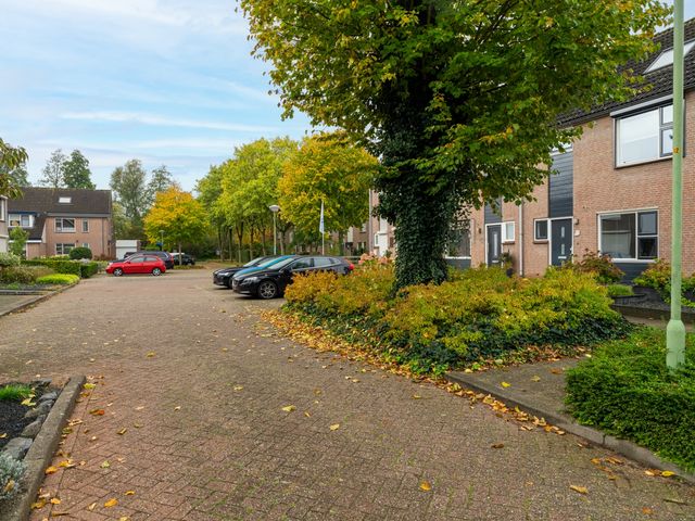 Papaver 23, Werkendam