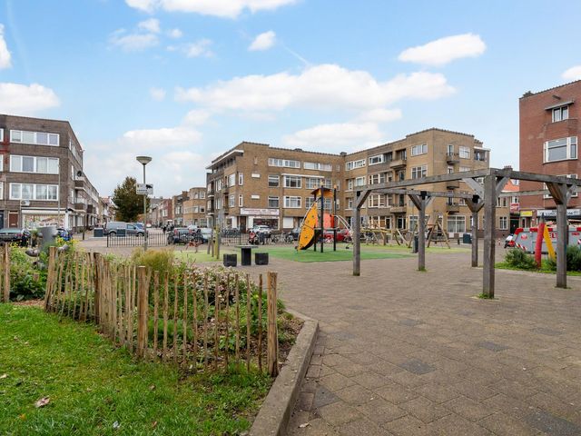 Boerhaavelaan 46B 2, Schiedam