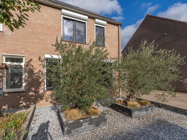 Marjolein 17, Venray