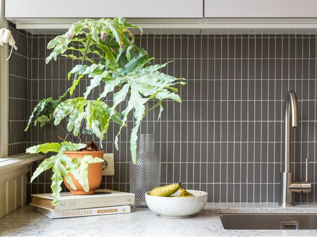 Viviënstraat 66, Den Haag