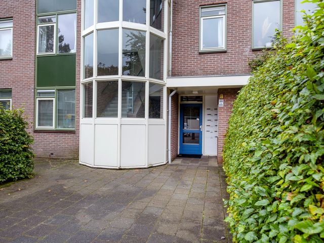 Vestdijklaan 384, Groningen
