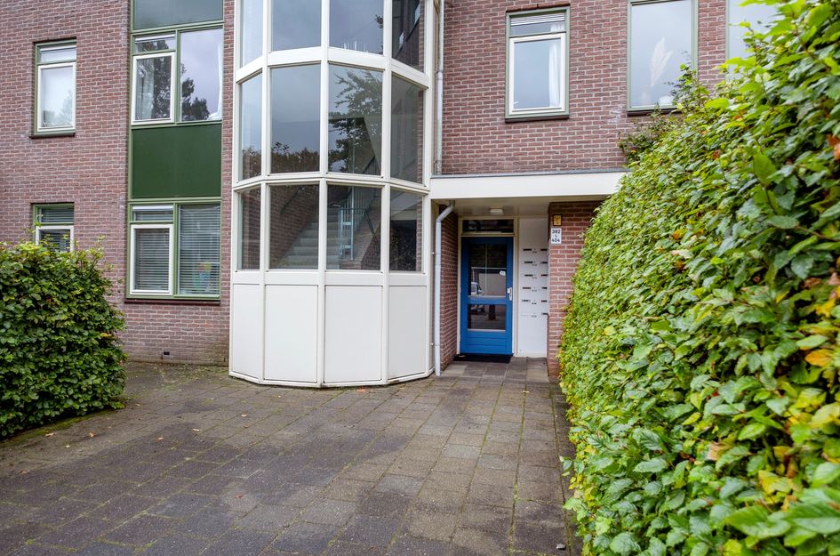 Vestdijklaan 384